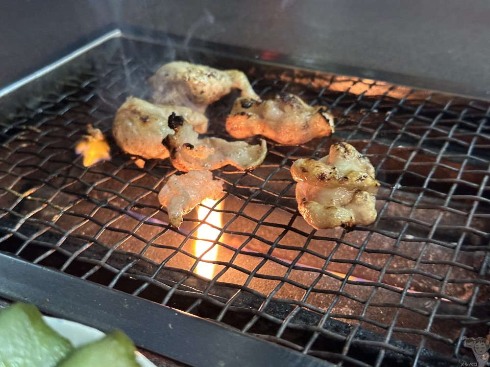 【愛知名古屋】とんちゃんや ふじ。名古屋名物の豚ホルモンの焼肉が味わえるお店