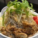 【栃木佐野】WILD PIG(ワイルドピッグ)。冷やし二郎、この夏食べるべき一杯